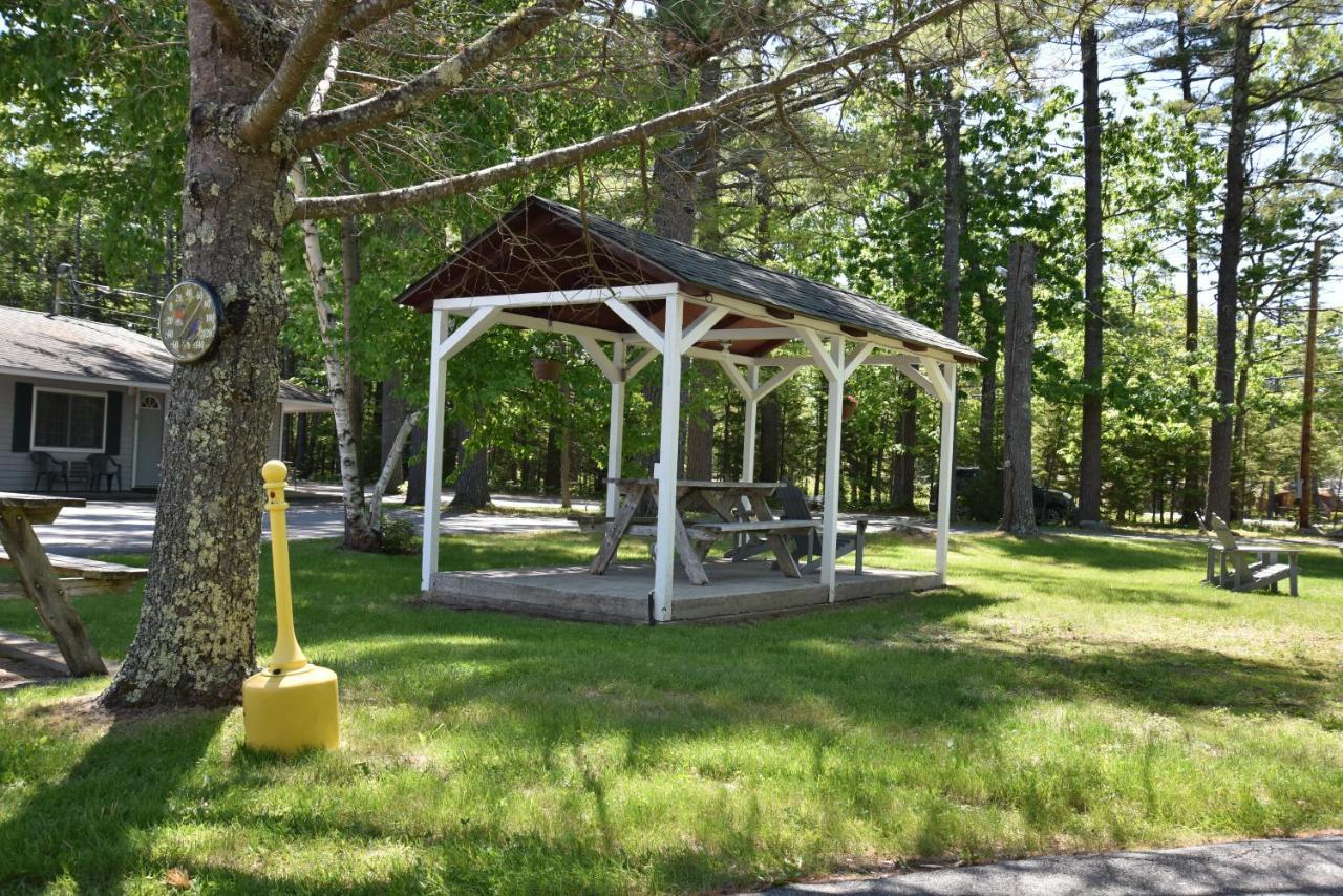 Acadia Pines Motel Μπαρ Χάρμπορ Εξωτερικό φωτογραφία
